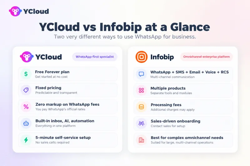 YCloud vs Infobip