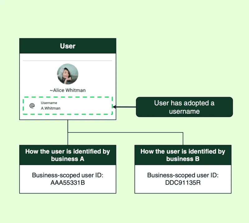 What is BSUID (Business Scoped User ID)