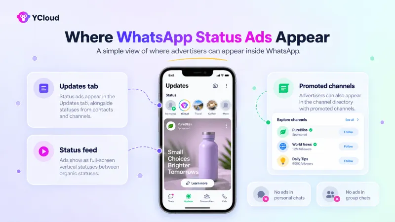 Where Do WhatsApp Status Ads Appear