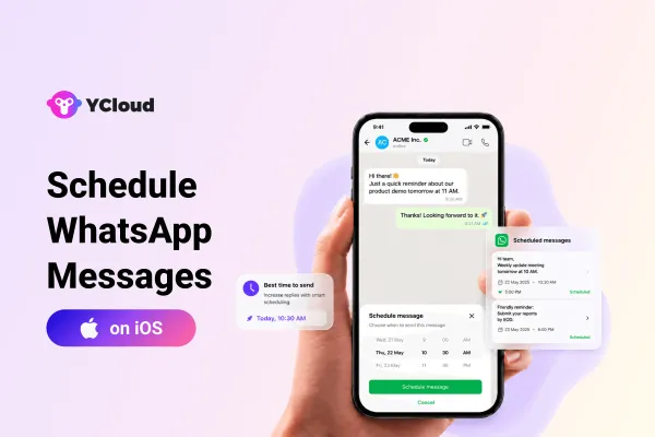 Новое обновление функции: WhatsApp разрабатывает запланированные сообщения для iOS
