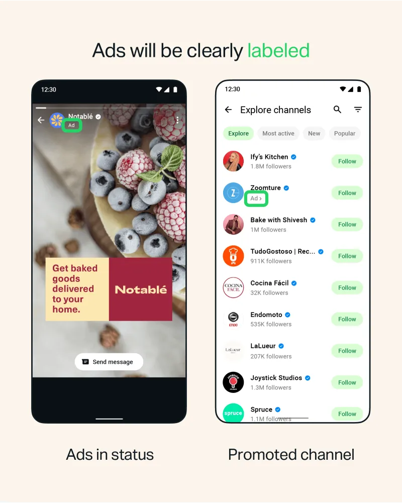 WA Status Ads 2.png
