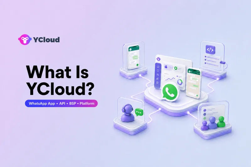 YCloud position across WhatsApp Business App, API, BSP, and operating platform