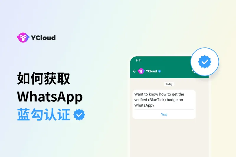 为企业赢得信任与提升转化：2025 最新 WhatsApp 蓝标认证申请指南